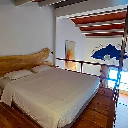 Hotel Ianos
